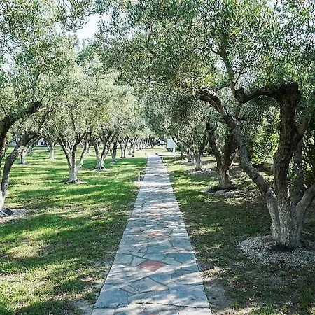 Villa Seafront Glaros Kassandria