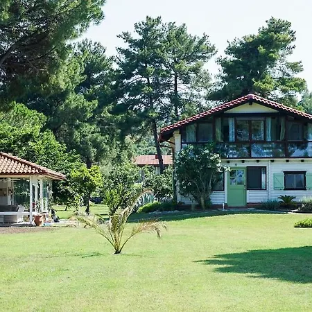 Villa Seafront Glaros Dimos Kassandra