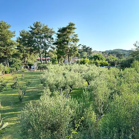 Villa Seafront Glaros Dimos Kassandra